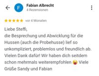 Bewertung Fabian